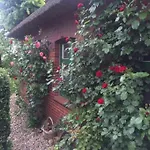Reetdachhaus, Wilstermarsch Casa vacanze