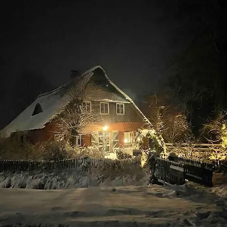 Reetdachhaus, Wilstermarsch