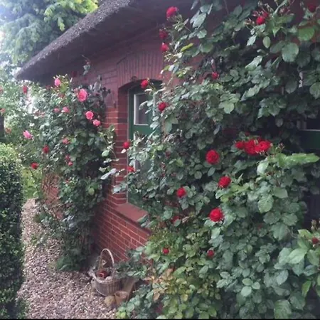 Reetdachhaus, Wilstermarsch Semesterbostad