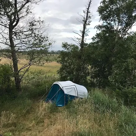 Reetdachhaus, Wilstermarsch Landscheide