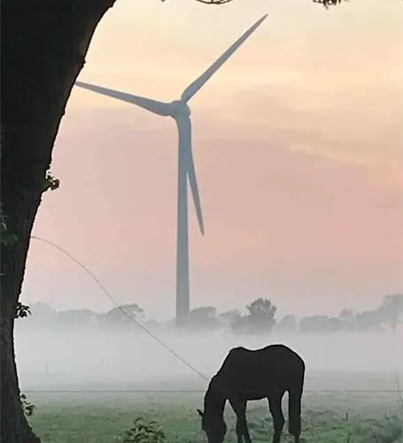 Reetdachhaus, Wilstermarsch Vakantiehuis Landscheide