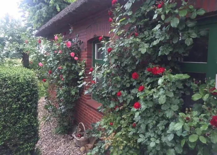 Reetdachhaus, Wilstermarsch Vakantiehuis