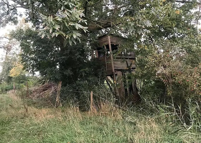 Reetdachhaus, Wilstermarsch Vakantiehuis