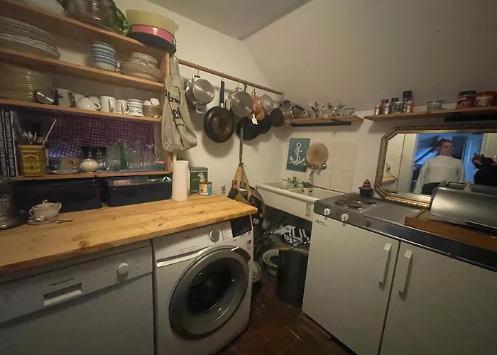 Reetdachhaus, Wilstermarsch Vakantiehuis *